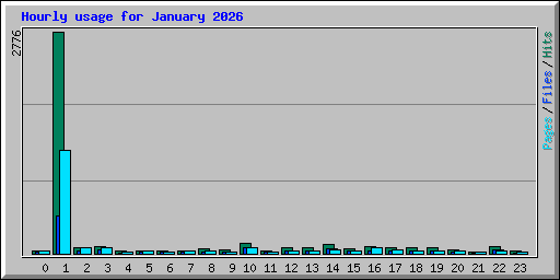 Hourly usage for January 2026