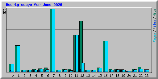 Hourly usage for June 2026