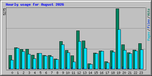 Hourly usage for August 2026